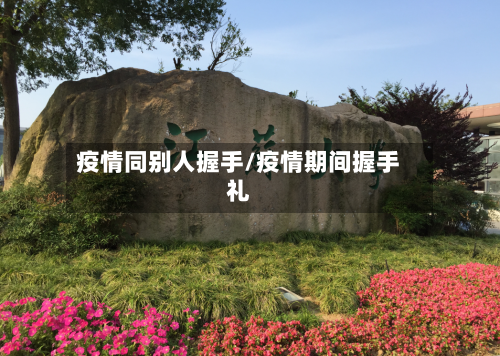 疫情同别人握手/疫情期间握手礼-第1张图片