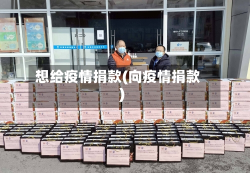 想给疫情捐款(向疫情捐款)-第1张图片
