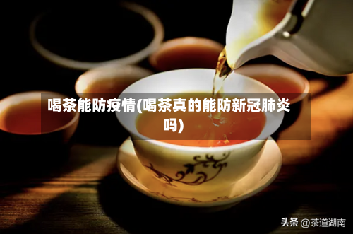 喝茶能防疫情(喝茶真的能防新冠肺炎吗)-第2张图片