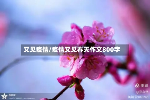又见疫情/疫情又见春天作文800字-第2张图片