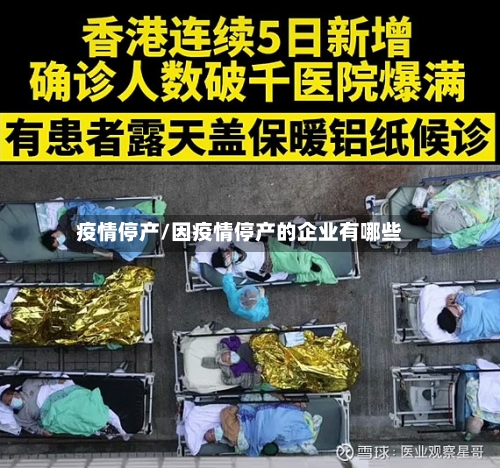 疫情停产/因疫情停产的企业有哪些-第2张图片