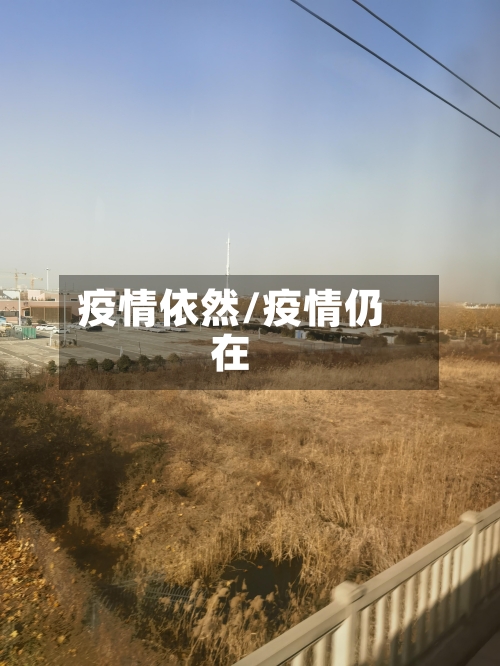 疫情依然/疫情仍在-第1张图片