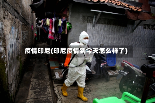 疫情印尼(印尼疫情到今天怎么样了)-第1张图片