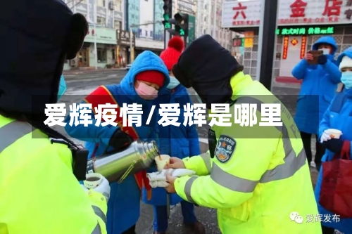爱辉疫情/爱辉是哪里-第1张图片