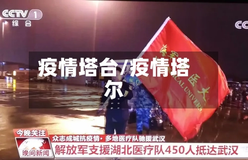 疫情塔台/疫情塔尔-第3张图片