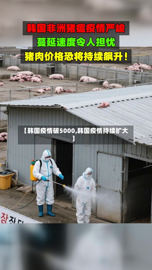 【韩国疫情破5000,韩国疫情持续扩大】-第1张图片