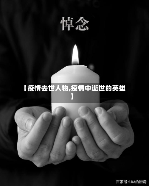 【疫情去世人物,疫情中逝世的英雄】-第2张图片