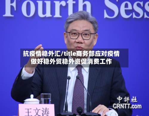 抗疫情稳外汇/title商务部应对疫情做好稳外贸稳外资促消费工作-第3张图片
