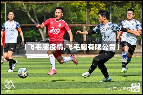 【飞毛腿疫情,飞毛腿有限公司】-第1张图片