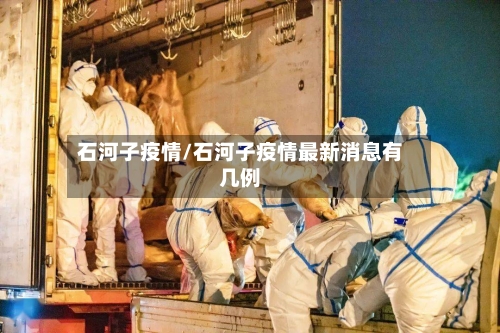 石河子疫情/石河子疫情最新消息有几例-第2张图片