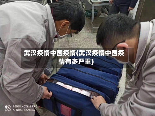 武汉疫情中国疫情(武汉疫情中国疫情有多严重)-第1张图片