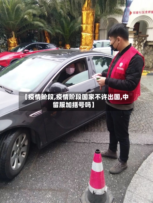 【疫情阶段,疫情阶段国家不许出国,中留服加括号吗】-第2张图片