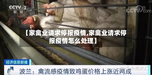 【家禽业请求停报疫情,家禽业请求停报疫情怎么处理】-第1张图片