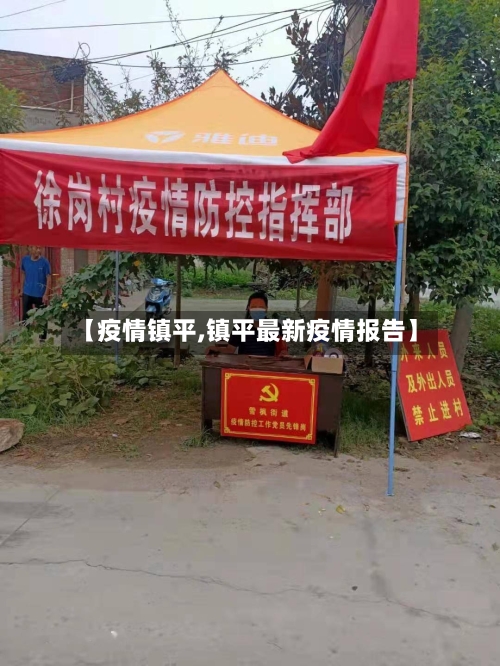 【疫情镇平,镇平最新疫情报告】-第2张图片