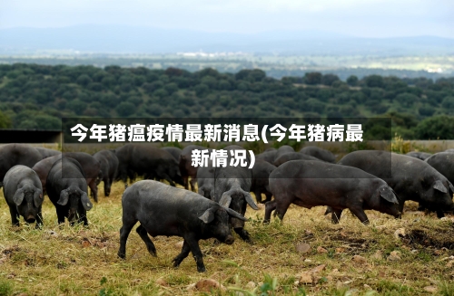 今年猪瘟疫情最新消息(今年猪病最新情况)-第2张图片