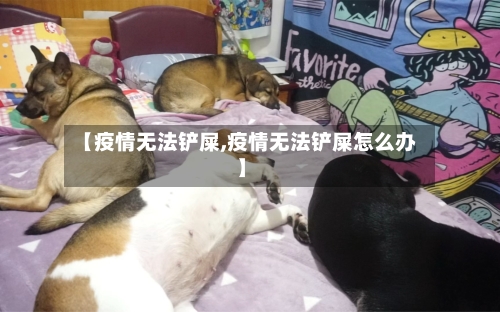 【疫情无法铲屎,疫情无法铲屎怎么办】-第2张图片