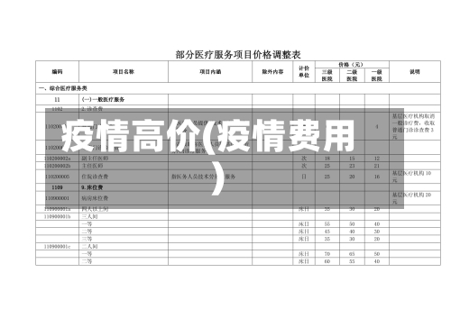 疫情高价(疫情费用)-第1张图片