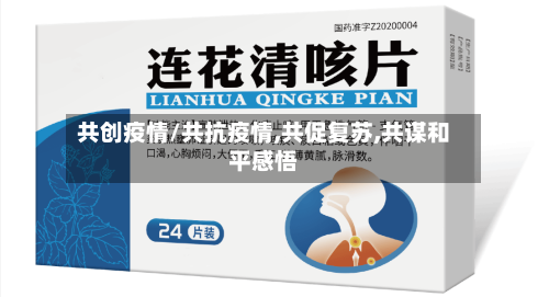 共创疫情/共抗疫情,共促复苏,共谋和平感悟-第2张图片