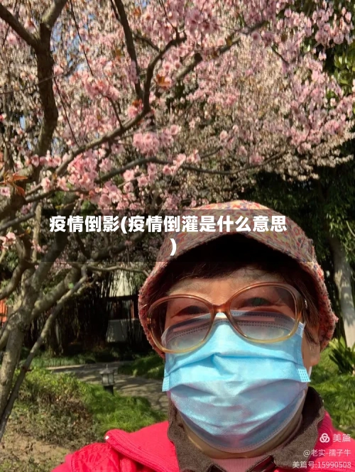 疫情倒影(疫情倒灌是什么意思)-第2张图片