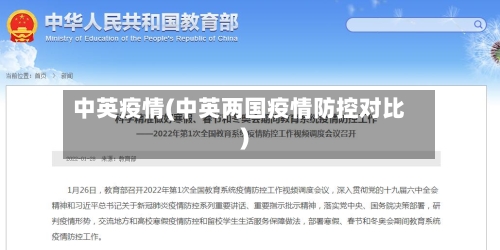 中英疫情(中英两国疫情防控对比)-第1张图片