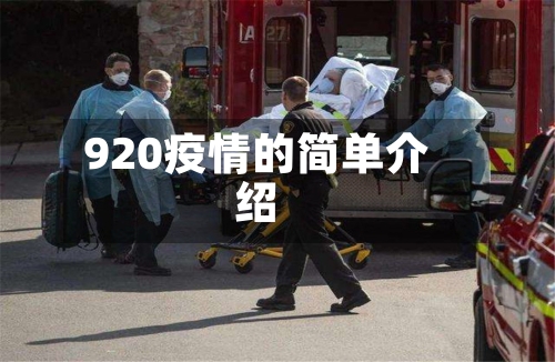 920疫情的简单介绍-第3张图片
