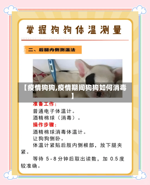 【疫情狗狗,疫情期间狗狗如何消毒】-第2张图片