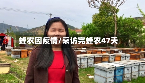 蜂农因疫情/采访完蜂农47天-第1张图片