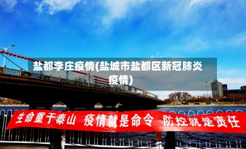 盐都李庄疫情(盐城市盐都区新冠肺炎疫情)-第1张图片