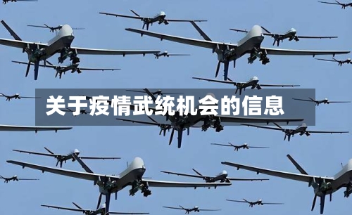 关于疫情武统机会的信息-第2张图片