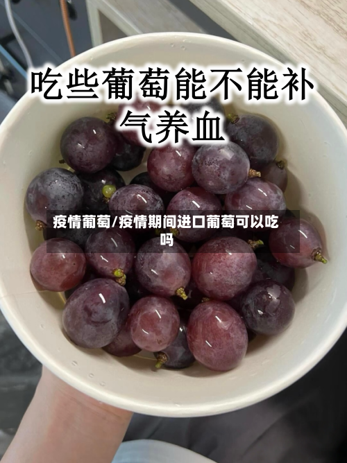 疫情葡萄/疫情期间进口葡萄可以吃吗-第1张图片