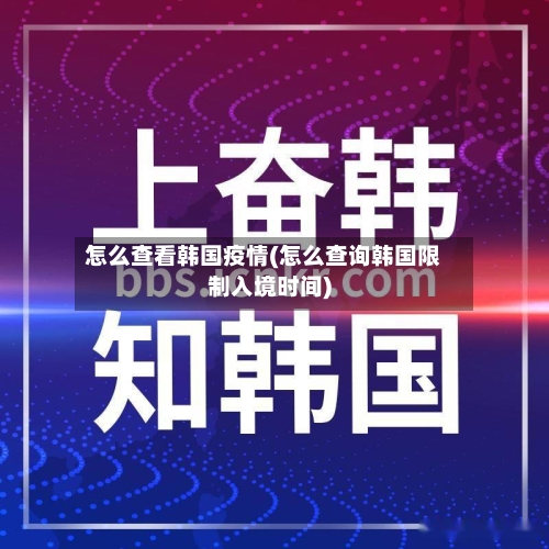怎么查看韩国疫情(怎么查询韩国限制入境时间)-第2张图片