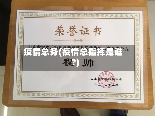 疫情总务(疫情总指挥是谁?)-第3张图片